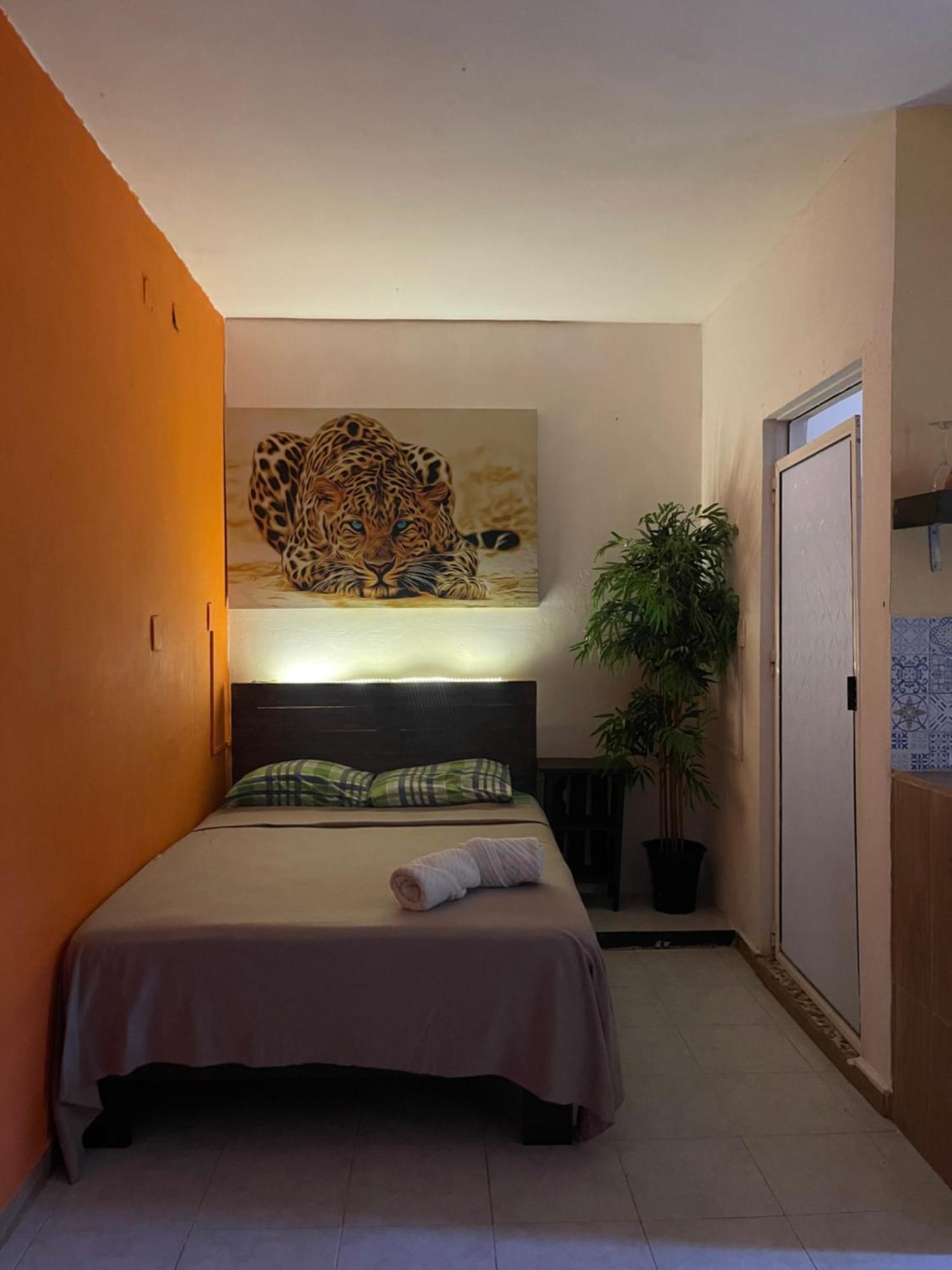 Casa Mar Apartman Playa del Carmen Kültér fotó