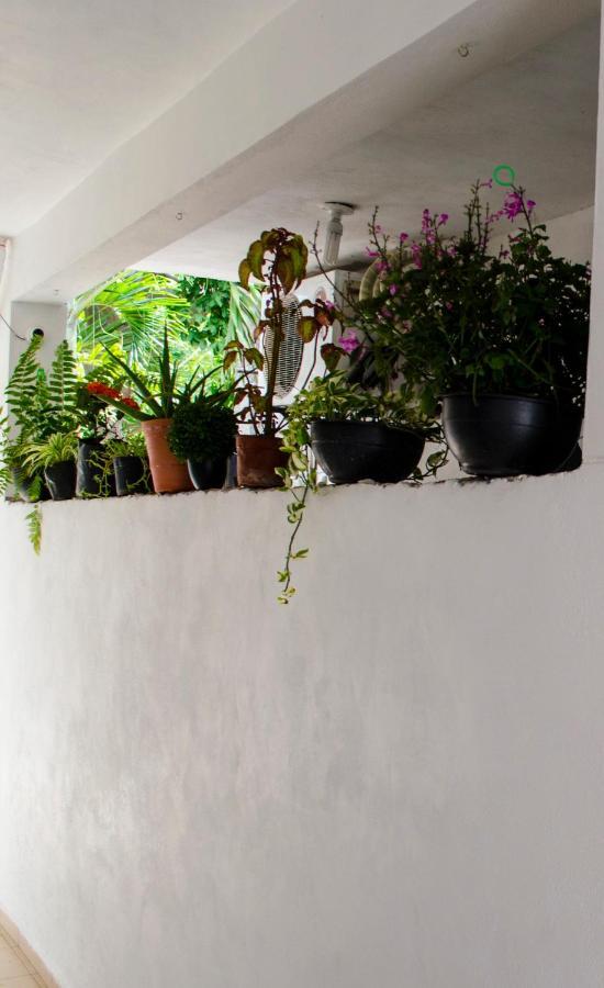 Casa Mar Apartman Playa del Carmen Kültér fotó